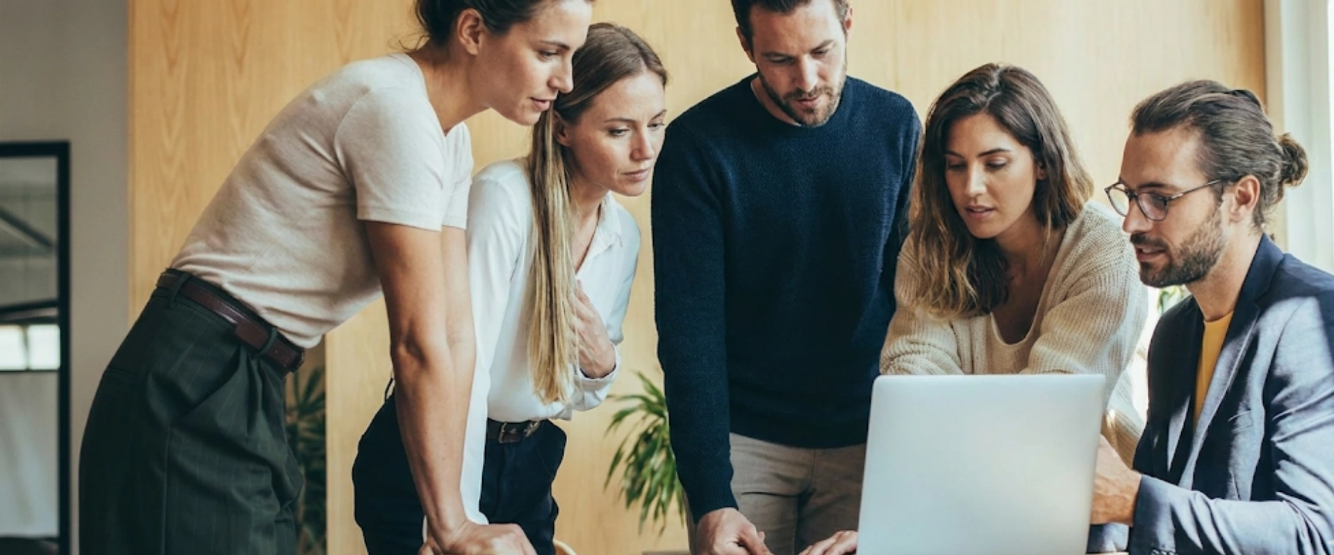 zeekweb web development